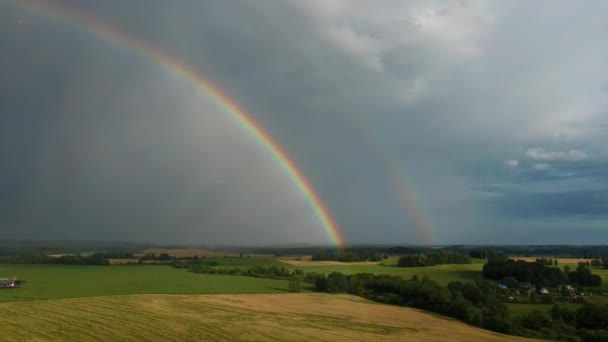 Tęcza Nad Polem Pszenicy Lot Nad Dojrzałym Polem Uprawnym Deszczu — Wideo stockowe