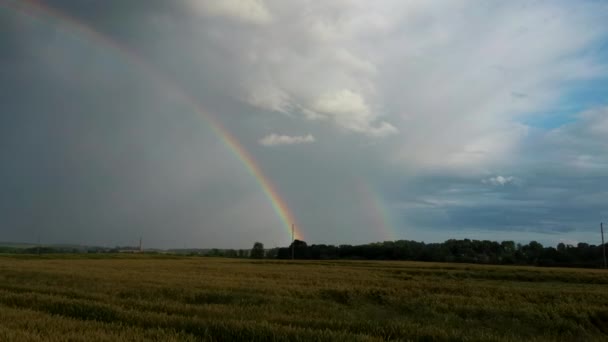 Arco Íris Acima Campo Trigo Flight Ripe Crop Field Rain — Vídeo de Stock