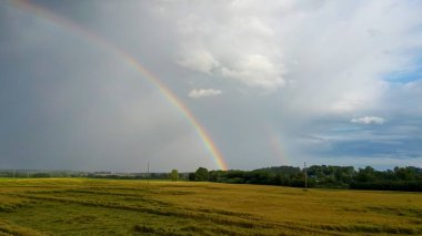 Buğday tarlasının üstündeki gökkuşağı. Yağmur Sonrası Olgun Tarla ve Kırsal Arazide Renkli Gökkuşağı Uçuşu. Aereal Dron Vuruşu.