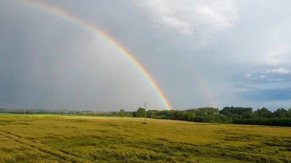 Arcobaleno Sopra Campo Grano Volo Giù Maturo Campo Raccolto Dopo — Foto Stock