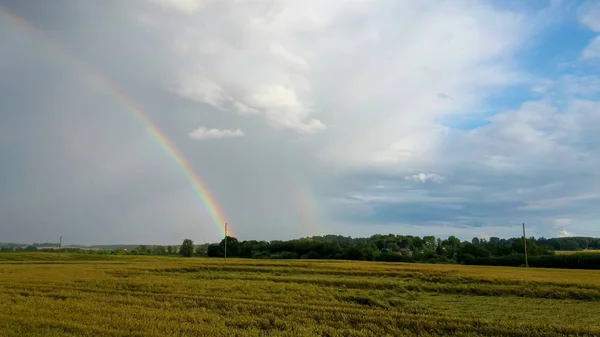 Arc Ciel Dessus Champ Blé Vol Vers Bas Champ Culture — Photo