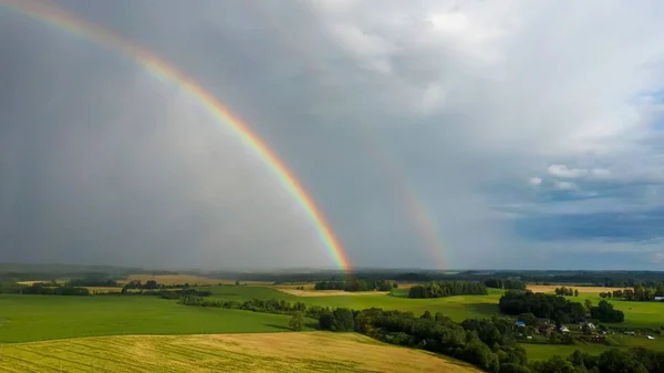 Rainbow Above Wheat Field. Flight Down Ripe Crop Field After Rain and Colorfull Rainbow in Background Rural Countryside. Aereal Dron Shoot.