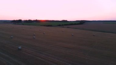 Hay Rolls Sunrise 'la sahanın üstünde uçmak. 4k Areal Dron Shot sahasında Hay Bale Rolls. Hava manzarası, Tarım Tarlalarının Üzerinde Uçuşlar Saman Paketleriyle.