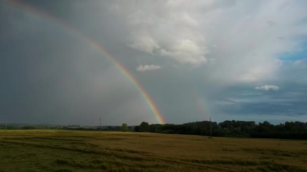 Arco Íris Acima Campo Trigo Flight Ripe Crop Field Rain — Vídeo de Stock