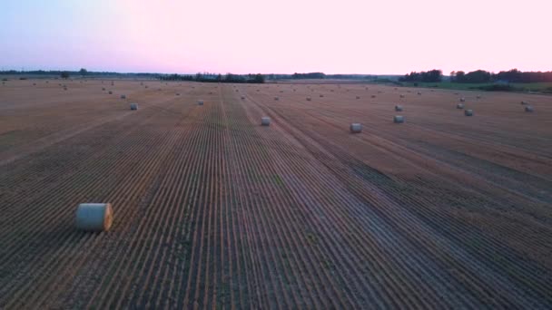 Volando Por Encima Del Campo Con Hay Rolls Sunrise Hay — Vídeo de stock