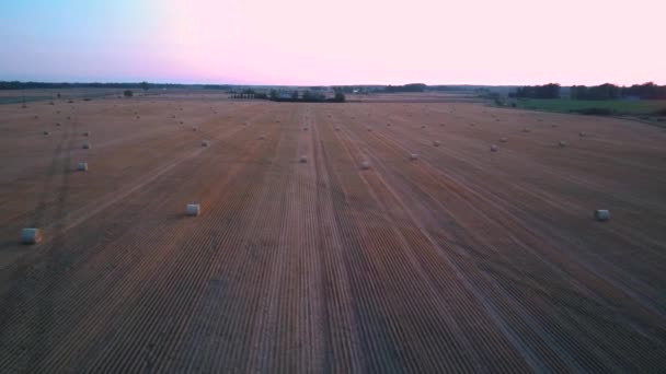 Volando Por Encima Del Campo Con Hay Rolls Sunrise Hay — Vídeo de stock