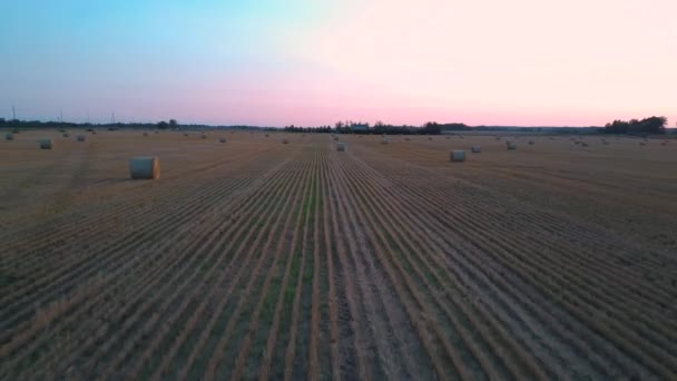 Voando Acima Campo Com Hay Rolls Sunrise Hay Bale Rolls — Vídeo de Stock