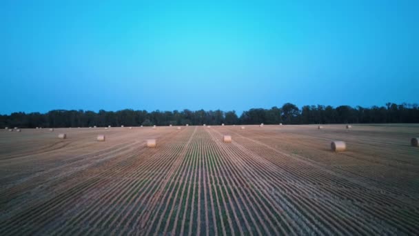 Flying Field Hay Rolls Sunrise Hay Bale Rolls Field Areal — Stock Video