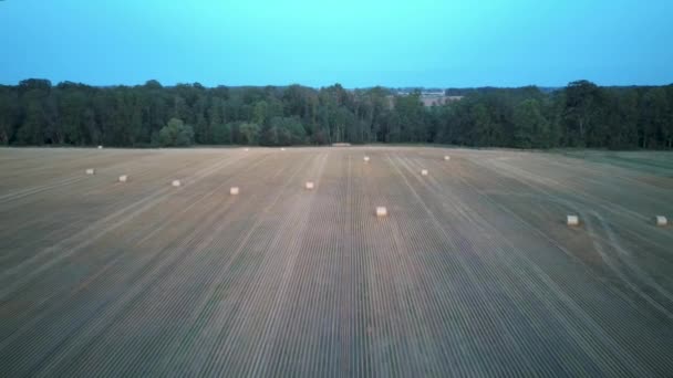 Flying Field Hay Rolls Sunrise Hay Bale Rolls Field Areal — Stock Video