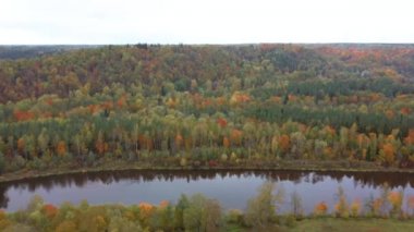 Gauja Nehri 'nin Sonbahar Manzarası Orman Renkli Sarı Turuncu ve Yeşil Ağaçlar, Güneşli Gün. Sigulda, Letonya 'da Altın Sonbahar sezonu sırasında. Hava Dron Atışı.