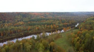 Gauja Nehri 'nin Sonbahar Manzarası Orman Renkli Sarı Turuncu ve Yeşil Ağaçlar, Güneşli Gün. Sigulda, Letonya 'da Altın Sonbahar sezonu sırasında. Hava Dron Atışı.