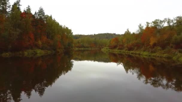 Paysage d'automne Vue sur la rivière Gauja par les forêts Coloré Jaune vif Orange et arbres verts, journée ensoleillée. Sigulda, Lettonie Pendant la saison d'automne dorée en Lettonie. Tir Dron Aérien .