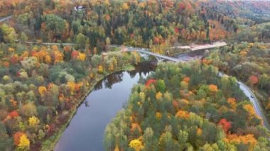 Gauja Nehri 'nin Sonbahar Manzarası Orman Renkli Sarı Turuncu ve Yeşil Ağaçlar, Güneşli Gün. Sigulda, Letonya 'da Altın Sonbahar sezonu sırasında. Hava Dron Atışı.