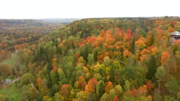 Paysage Aérien Automne Vue Des Arbres Colorés Verts Orangés Rougeâtres — Video