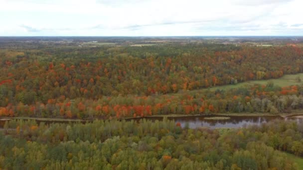 Paysage Automne Vue Sur Rivière Gauja Par Les Forêts Coloré — Video