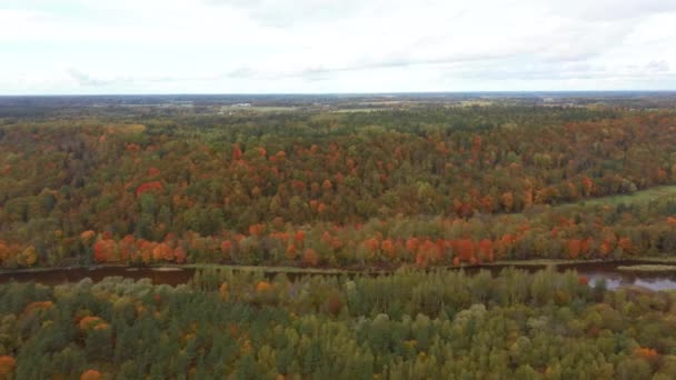 Paysage Automne Vue Sur Rivière Gauja Par Les Forêts Coloré — Video