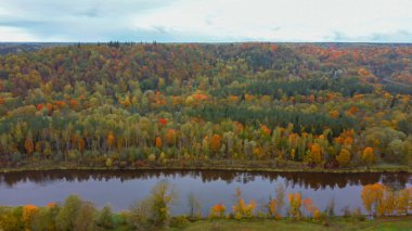 Gauja Nehri 'nin Sonbahar Manzarası Orman Renkli Sarı Turuncu ve Yeşil Ağaçlar, Güneşli Gün. Sigulda, Letonya 'da Altın Sonbahar sezonu sırasında. Hava Dron Atışı.