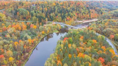 Gauja Nehri 'nin Sonbahar Manzarası Orman Renkli Sarı Turuncu ve Yeşil Ağaçlar, Güneşli Gün. Sigulda, Letonya 'da Altın Sonbahar sezonu sırasında. Hava Dron Atışı.