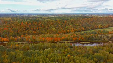 Gauja Nehri 'nin Sonbahar Manzarası Orman Renkli Sarı Turuncu ve Yeşil Ağaçlar, Güneşli Gün. Sigulda, Letonya 'da Altın Sonbahar sezonu sırasında. Hava Dron Atışı.