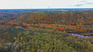 Gauja Nehri 'nin Sonbahar Manzarası Orman Renkli Sarı Turuncu ve Yeşil Ağaçlar, Güneşli Gün. Sigulda, Letonya 'da Altın Sonbahar sezonu sırasında. Hava Dron Atışı.
