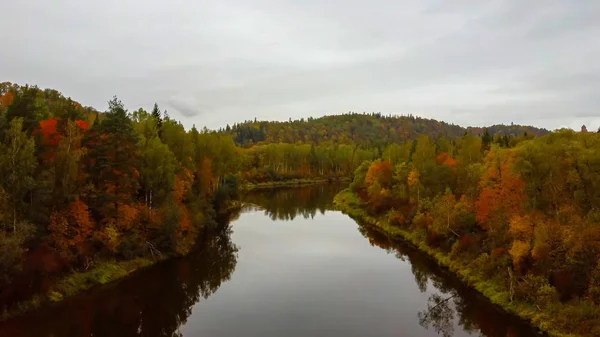 Hösten Landskap Utsikt Över Gauja Floden Skogar Färgglada Ljusa Gula — Stockfoto