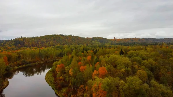 Jesienny Krajobraz Widok Rzeki Gauja Przez Lasy Kolorowe Jasne Żółte — Zdjęcie stockowe
