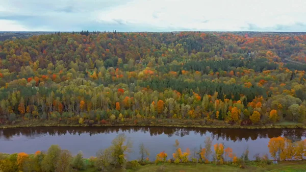 Autumn Landscape View Gauja River Forests Colorful Bright Yellow Orange — 图库照片