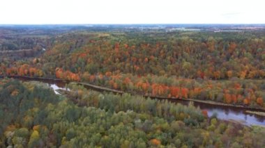 Gauja Nehri 'nin Sonbahar Manzarası Orman Renkli Sarı Turuncu ve Yeşil Ağaçlar, Güneşli Gün. Sigulda, Letonya 'da Altın Sonbahar sezonu sırasında. Hava Dron Atışı.