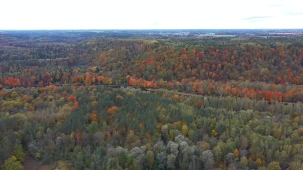 Paysage Automne Vue Sur Rivière Gauja Par Les Forêts Coloré — Video