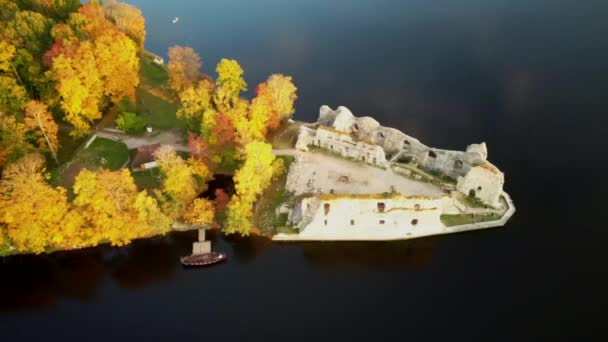 Höstens Antenn Visa Gamla Koknese Slott Ruiner Och Floden Daugava — Stockvideo