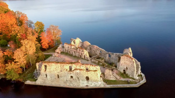 Autunno Veduta Aerea Vecchio Castello Koknese Rovine Fiume Daugava Situato — Foto Stock