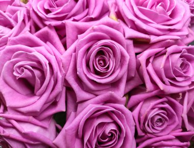 Buket Olarak Gül Çiçeği Dekorasyonu, Çiçek Döşemede Güzel Doku, Çiçek Desenli Arkaplan