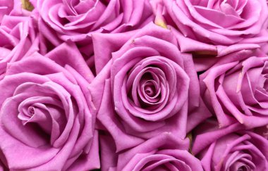 Buket Olarak Gül Çiçeği Dekorasyonu, Çiçek Döşemede Güzel Doku, Çiçek Desenli Arkaplan