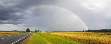 Buğday tarlasının üstündeki gökkuşağı. Yağmur Sonrası Olgun Tarla ve Kırsal Arazide Renkli Gökkuşağı Uçuşu. Aereal Dron Vuruşu.