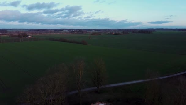 Ruins Lutheran Church Salgale Latvia Bank River Lielupe Aerial View — Stok video