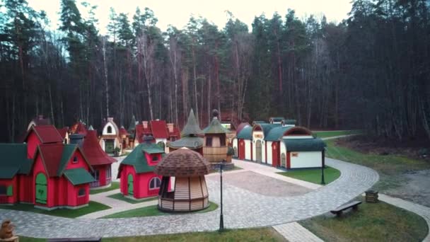 공중에서 목조성 강등을 수있다 라트비아에서는 관광객 해돋이 Park Forest Wooden — 비디오