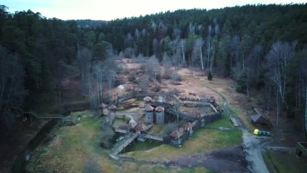 テルベテ自然公園の木製の城 森と川テルベテの空中ビュー ラトビアの観光スポット 冬の夜の日の出 木像のある森の公園 モンスター — ストック動画