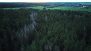 Tervete Doğa Parkındaki Orman 'daki Tahta Gözlem Kulesi' nin Gündoğumu Hava Görüntüsü. Letonya 'da Turist Çekimi.