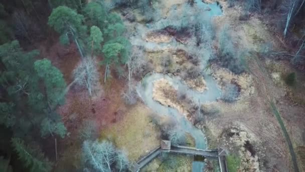 Aerial View Wooden Castle Forest River Tervete Tervete Nature Park — Stock Video