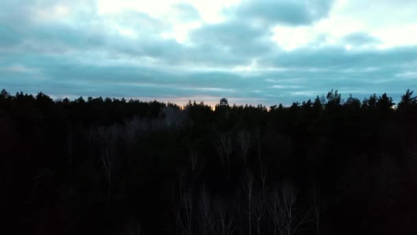 テルベテ自然公園の森の中の木造展望台の日の出空中ビュー ラトビアの観光スポット — ストック動画