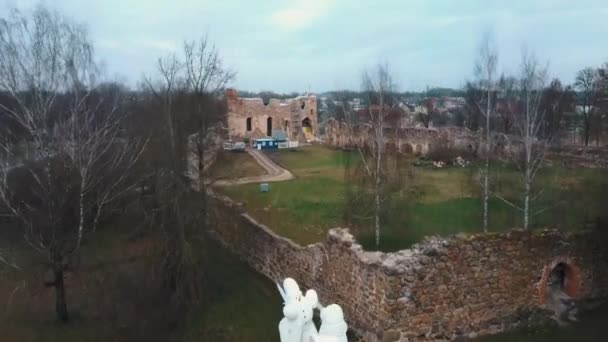 Luftaufnahme Der Mittelalterlichen Burg Dobele Der Stadt Dobele Westufer Des — Stockvideo