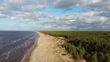 Hava Dron Garciems Plajı, Letonya Baltık Denizi Güneşli Kış Günü Büyük Bulutlar Çam Ağaçlı Kum Tepeleri