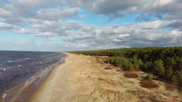 Luchtfoto Dron Shot Garciems Beach Letland Oostzee Zonnige Winterdag Grote — Stockvideo