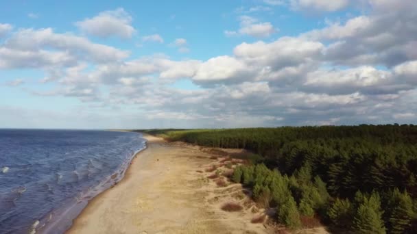 ラトビア バルト海の空中ドロンショットガーシエンズビーチ冬の日差し松の木の大きな雲砂丘 — ストック動画