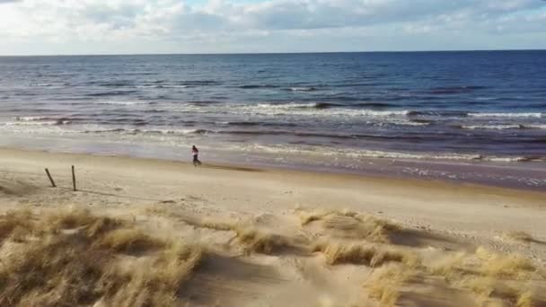 Aerial Dron Shot Garciems Beach Latvia Baltic Sea Suny Winter — Stock Video