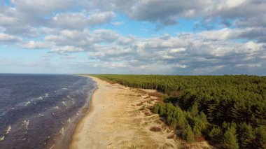 Hava Dron Garciems Plajı, Letonya Baltık Denizi Güneşli Kış Günü Büyük Bulutlar Çam Ağaçlı Kum Tepeleri