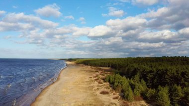 Hava Dron Garciems Plajı, Letonya Baltık Denizi Güneşli Kış Günü Büyük Bulutlar Çam Ağaçlı Kum Tepeleri