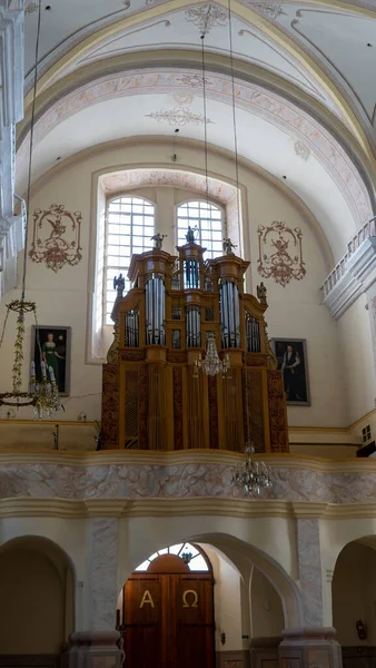 宏伟的阿格拉纳主教座堂是拉脱维亚最重要的天主教精神中心之一 旧教堂内部的地堡 — 图库照片