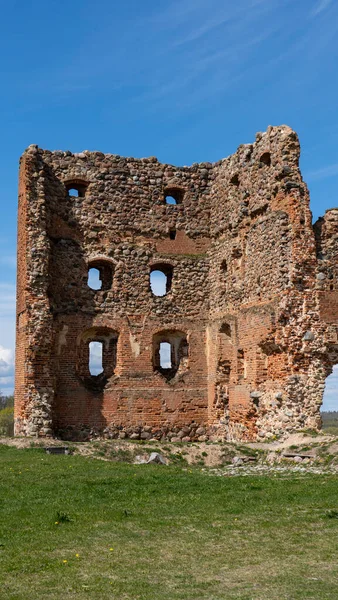 Ruinas Del Castillo Medieval Ludza Una Colina Entre Lago Grande — Foto de Stock