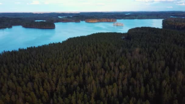 Aerial View Lake Jazinks Aglona Latvia Pine Forest Background Sunny — Stock Video